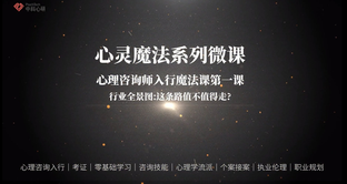 心理咨询师从业路径课程